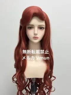 確認用 Dハロ仮装 アリエルウィッグ イメージ - メルカリ