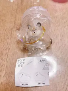 うちの子のけだまだま　犬のけだまだま　黒柴　ペテモ限定　ガチャ