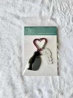 今夜、世界からこの恋が消えても♡ペンギンミラー付きキーホルダー♡