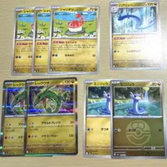 ミニリュウ　ミラー　ハクリュー　レックウザ　シャリタツ