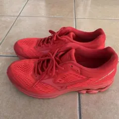 限定【28.0cm】Mizuno Wave Rider22 レッド