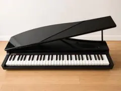 2026年最新】korg micro pianoの人気アイテム - メルカリ