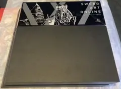 PlayStation4 PS4 本体PS4 SAO HDD ベイカバー 付属