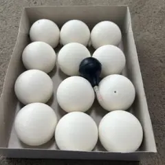 軟式テニス　ソフトテニスボール12個➕空気入れセット