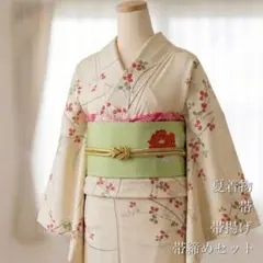 お買得】夏着物と帯セット 小紋 普段着 夏コーデ 絽 着丈150㎝ - メルカリ