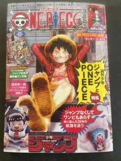 ワンピースマガジン 雑誌