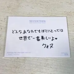 SEVENTEEN ウォヌ 2020ドームツアー トレカ