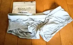 メンズ ビキニブリーフ ライトグレー (M)