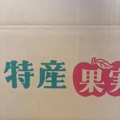 takata120様専用　　5L ラフランス