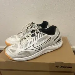 ミズノ ウエーブディメンション 28cm 幅広タイプ バレーシューズ
