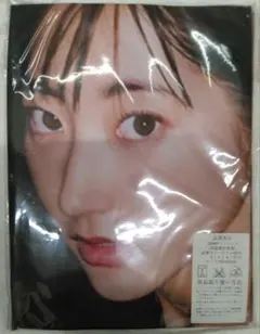 武田玲奈　グラビア抱き枕カバー　約 160×50cm　未開封未使用