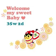 マタニティ☆ペイント☆安産祈願犬☆ベリーペイント☆フォト用☆タトゥー