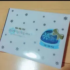 Kis-My-Ft2 Snowdomeの約束 DVD