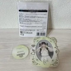 IVE レイ トレカスタンド