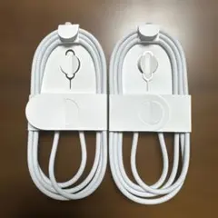 Type-C ケーブル　純正　Apple