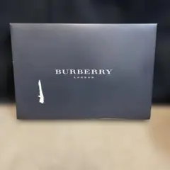 Item thumbnail for item 8b14ad31-d947-49c0-95a7-4b5c202bcfa5