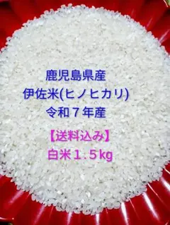 【精米したて】令和7年産 鹿児島県産 伊佐米(ヒノヒカリ)白米１.５kgのサムネイル