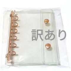 Item thumbnail for item f5479ae9-724f-4d84-9b04-f9d1deb8bdab