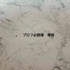 2026年最新】プロフ必読様の人気アイテム - メルカリ
