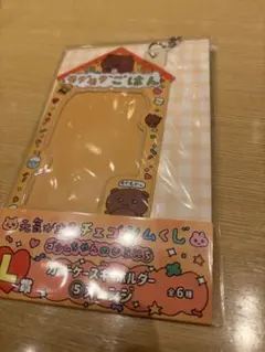 チェゴシム　カードケースキーホルダー