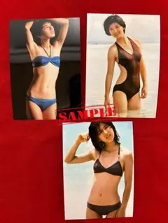 ラストタイガー様 リクエスト 2点 まとめ商品