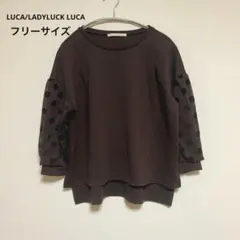 LUCA/LADYLUCKLUCA ルカ　袖ドットプルオーバー　ブラウン
