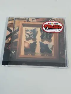 ミニマムジーク demo CD2枚セット ミニマムジーク CDセット - メルカリ