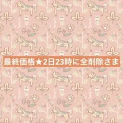 最終価格★2日23時に全削除さま専用☆。.:＊・゜