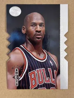 10枚限定 クリス・ボッシュ 2013-14 Panini Signatures - メルカリ