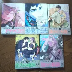 ララの結婚1 2 3 小冊子付き ためこう - メルカリ
