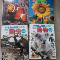 小学館の図鑑 NEO DVD付きほか　4冊セット