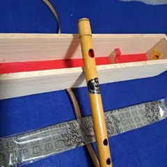 Item thumbnail for item b4c2fa01-eb8c-4863-92b3-f7b1026bc87e