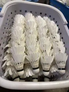 2026年最新】バドミントンシャトル中古の人気アイテム - メルカリ