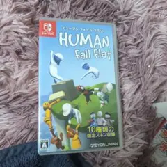 Nintendo Switch Human Fall Flat