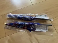 FC東京　ミニフラッグ　2本セット