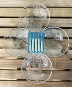 Item thumbnail for item 9f9b220f-e811-42fd-a45c-0c0736256853