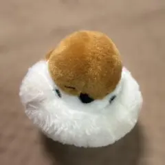 ふくらすずめ 雀 ぬいぐるみ エール 野鳥