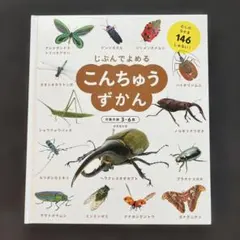 ctms-a※8/12-16発送不可様 リクエスト 3点 まとめ商品