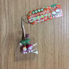 2025年最新】キティ さくらんぼの人気アイテム - メルカリ