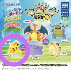 ポケモン カントーいっぱいコレクションプラス ピカチュウ
