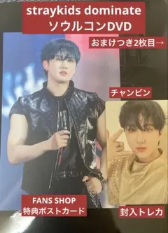 スキズ　dominate ソウルコンDVD 封入トレカ　ポストカード　チャンビン