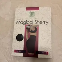 Magical Sherry 骨盤ショーツ Mサイズ ブラック - メルカリ