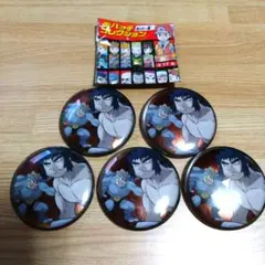 ポケモン シバ 缶バッジ 5個セット