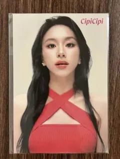 CipiCipi × チェヨン ポストカード