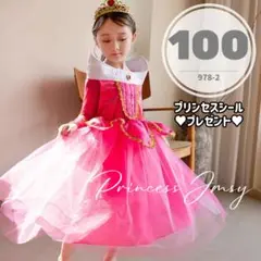 〇100cm▶︎メッシュ長袖オーロラ姫　オーロラドレス　仮装　子供コスプレディズ