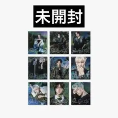 &TEAM Back to Life ソロジャケ盤 9形態セット