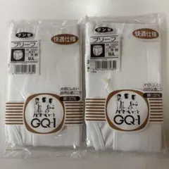 グンゼ GQ-1 ブリーフ 2枚セット MAサイズ
