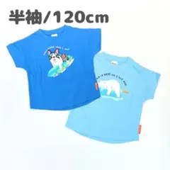 子供服 男の子 半袖Tシャツ まとめ売り 120cm 新品 TSN35-3