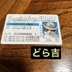 Item thumbnail for item 67c85db6-a08c-42e2-b6e2-89e574bdab61