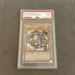 砦を守る翼竜 スタジオダイス psa10 - メルカリ